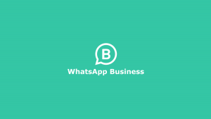 cara jualan di whatsapp bisnis
